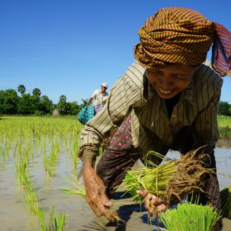 10 Days Cambodia Vacation