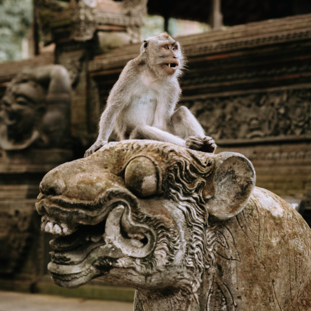 Day 12: Ubud